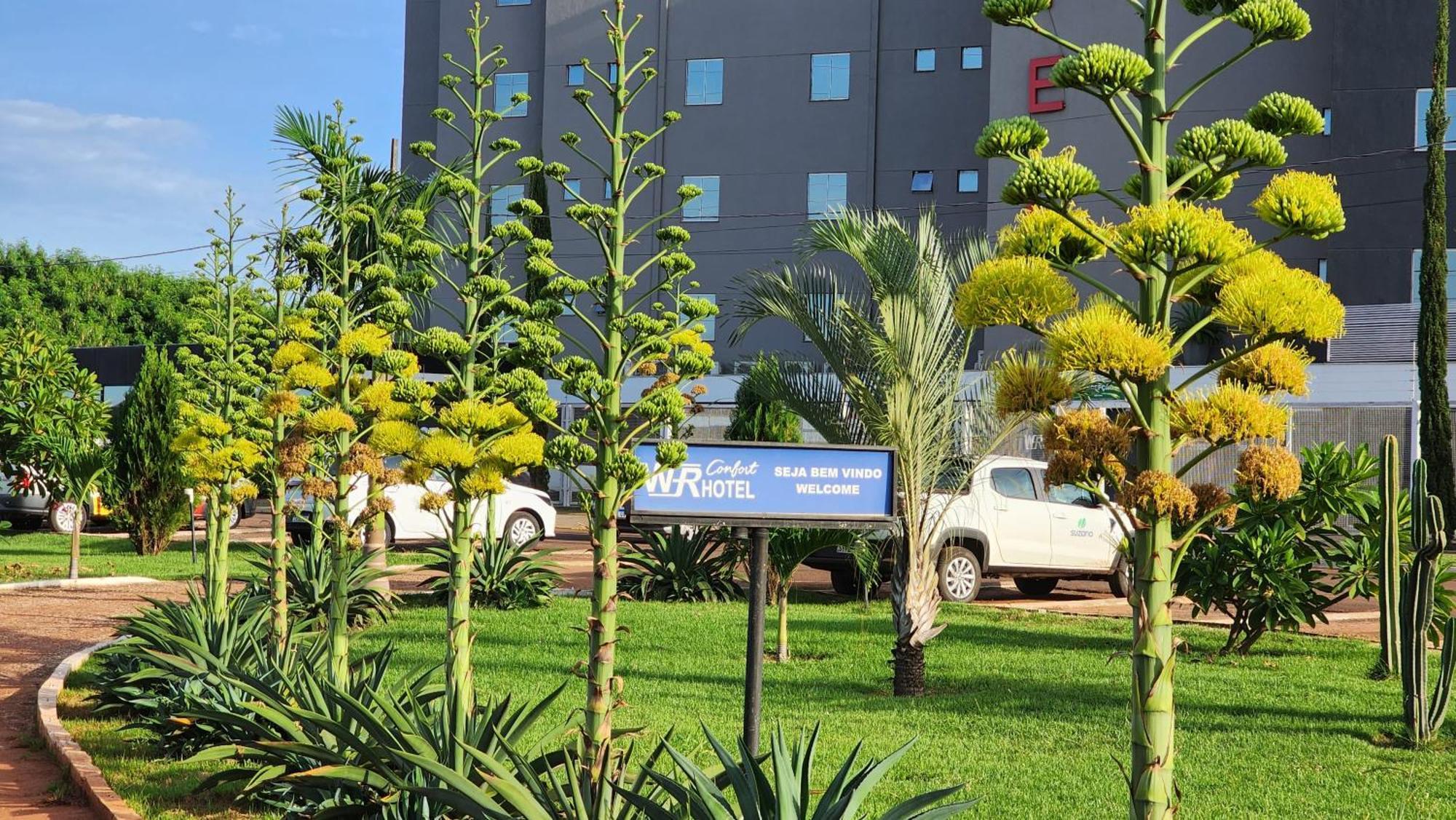 Wr Confort Hotel Campo Grande Eksteriør billede